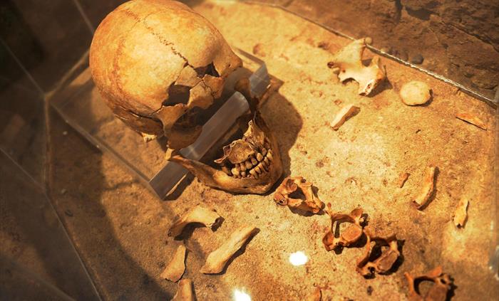 human remains inside a stone coffin. you can see the skull, some vertebrae and shoulder bones laid out.